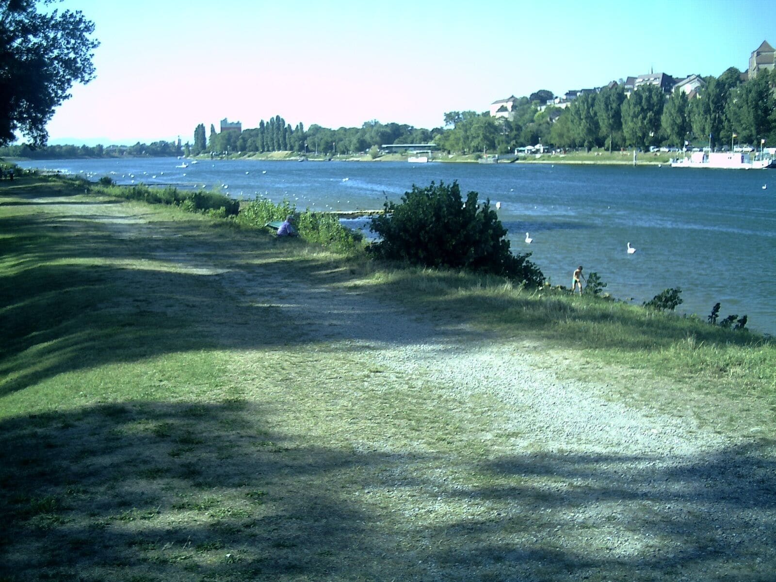 August - Breisach Rhein - 2013