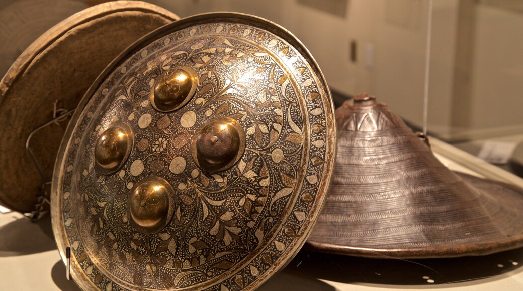 ネブラスカ州立大学博物館 どの含み 遺跡・遺産 と 屋内の眺め