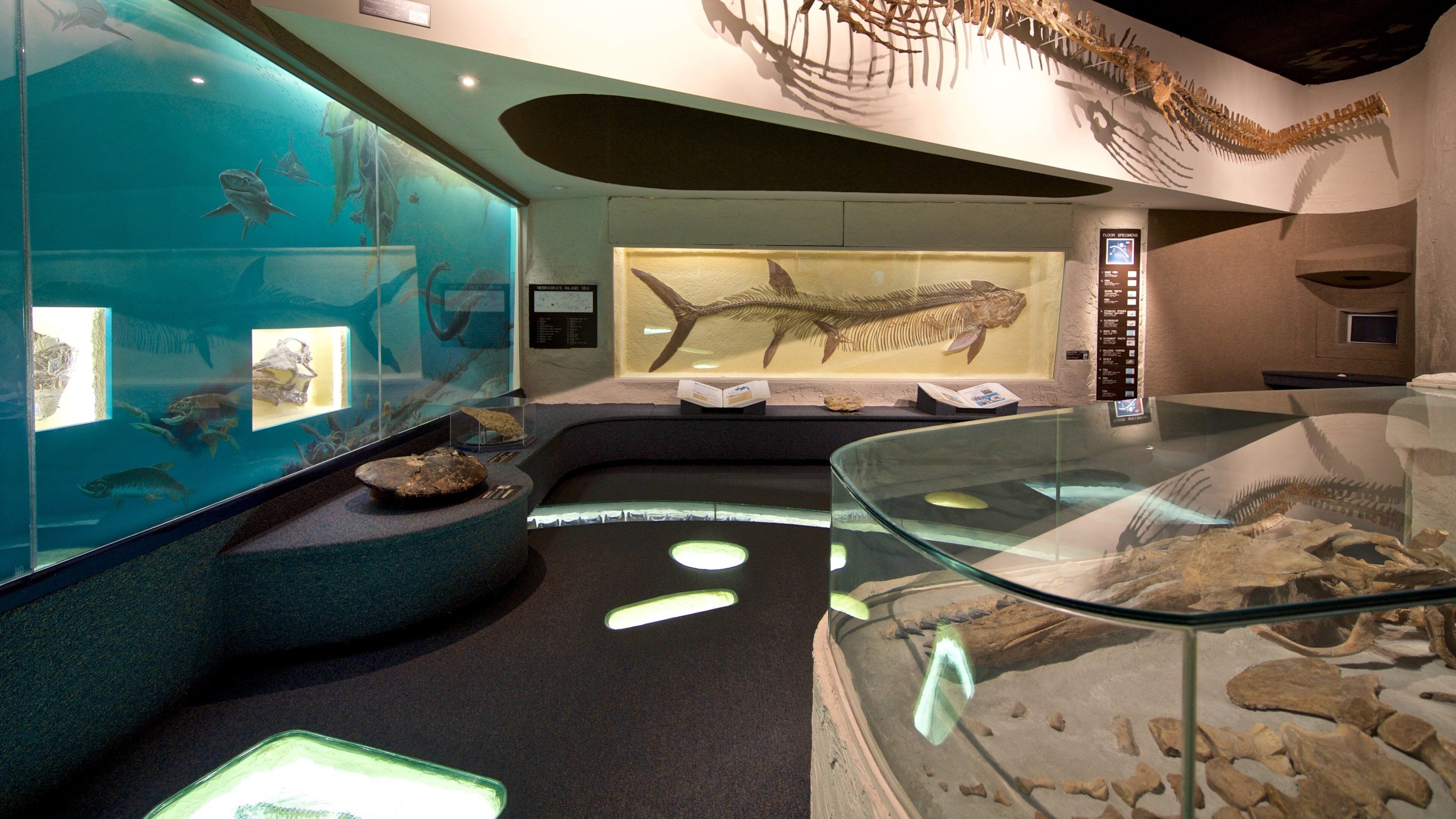 University of Nebraska State Museum que incluye vistas de interior