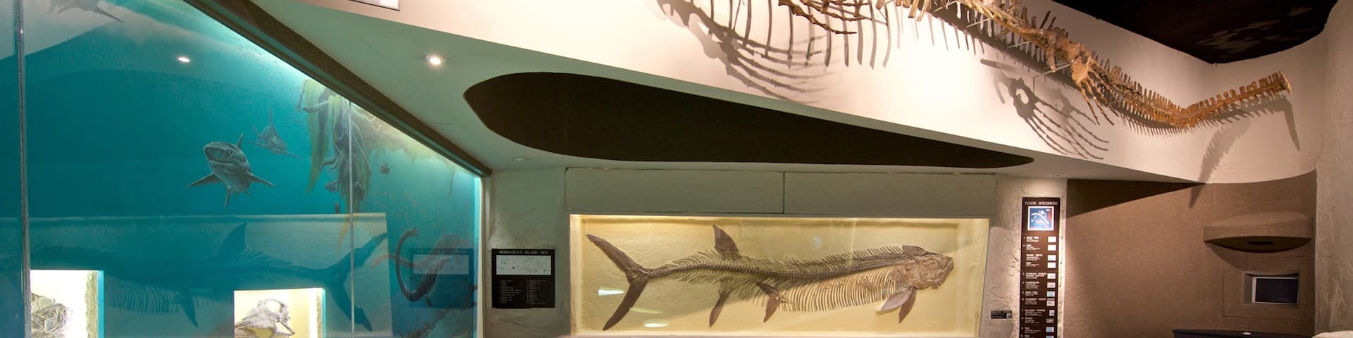 University of Nebraska State Museum featuring interior views