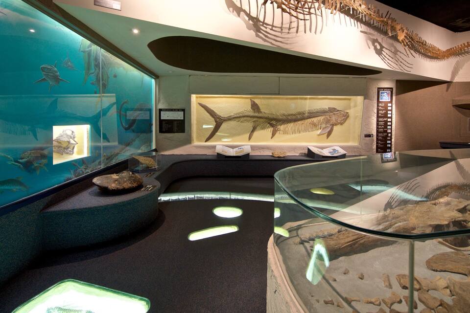 A museum exhibit with a large aquarium, dinosaur skeletons, and various fossils.