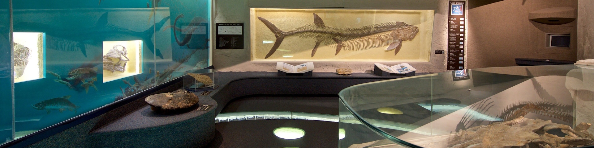 University of Nebraska State Museum featuring interior views