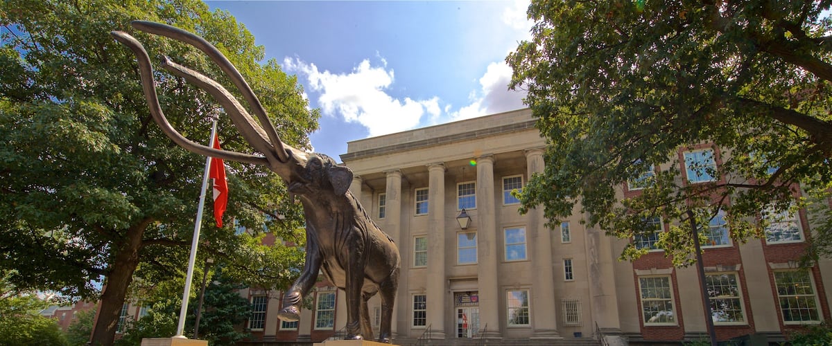 A large bronze statue of a bull with antlers in front of a building with columns and a flag.
