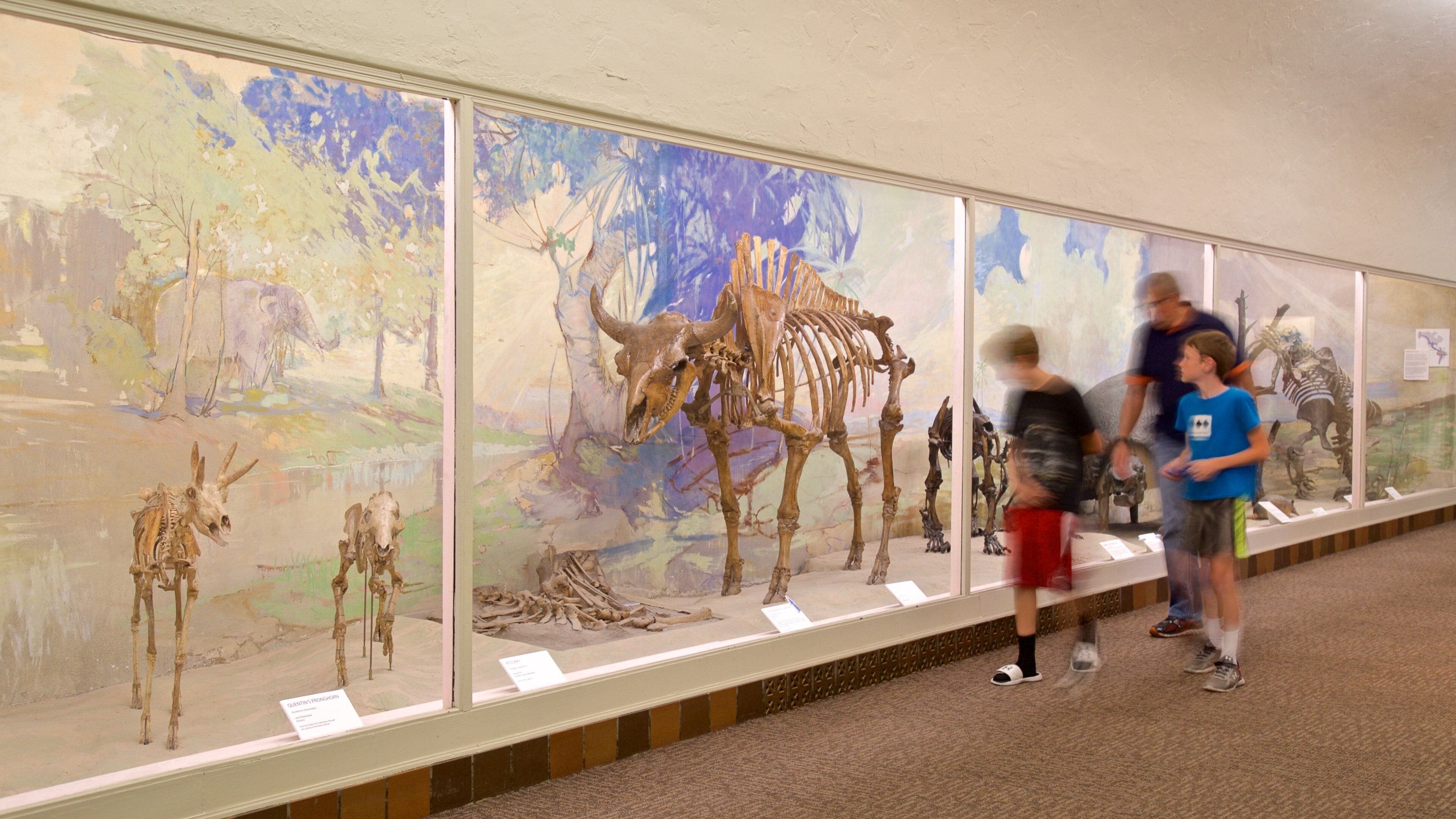 University of Nebraska State Museum showing interior views as well as a family
