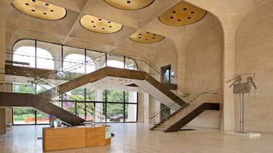 Sheldon Museum of Art which includes interior views