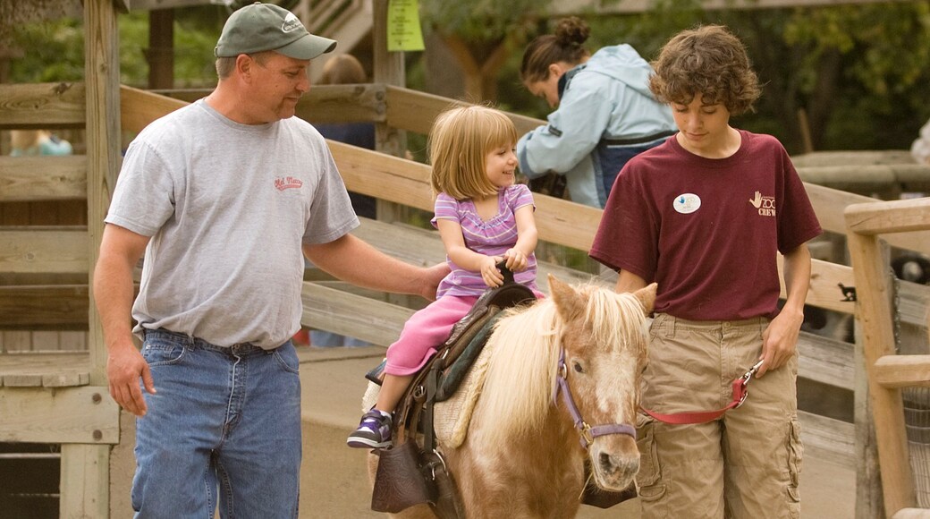 Lincoln Children\'s Zoo which includes zoo animals and horseriding as well as a small group of people