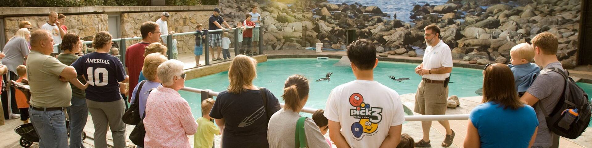 A group of people watching a pool with a rocky landscape and a mural in the background.