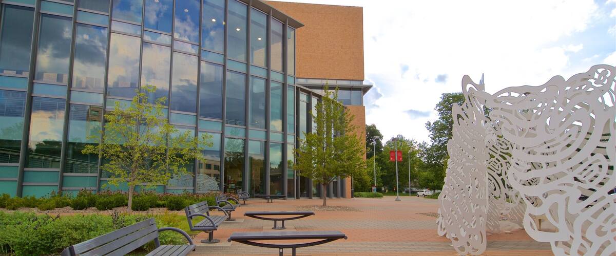 国际棉被研究中心