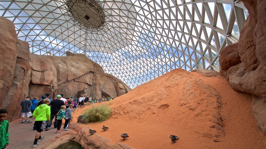 Henry Doorly Zoo which includes bird life and interior views as well as a small group of people