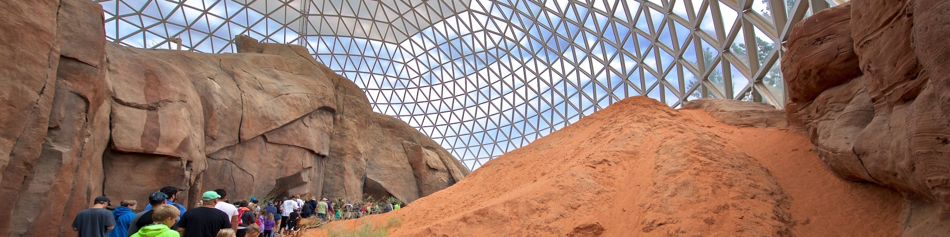 Henry Doorly Zoo which includes bird life and interior views as well as a small group of people