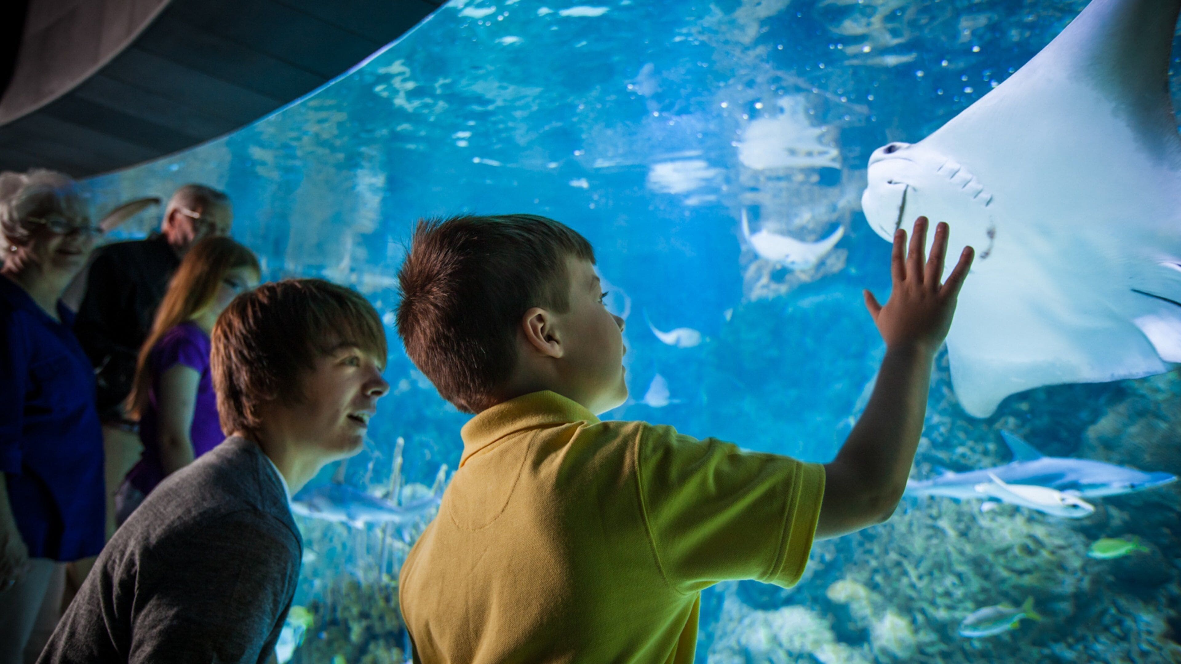 Henry Doorly Zoo che include animali marini e animali da zoo cosi come bambini