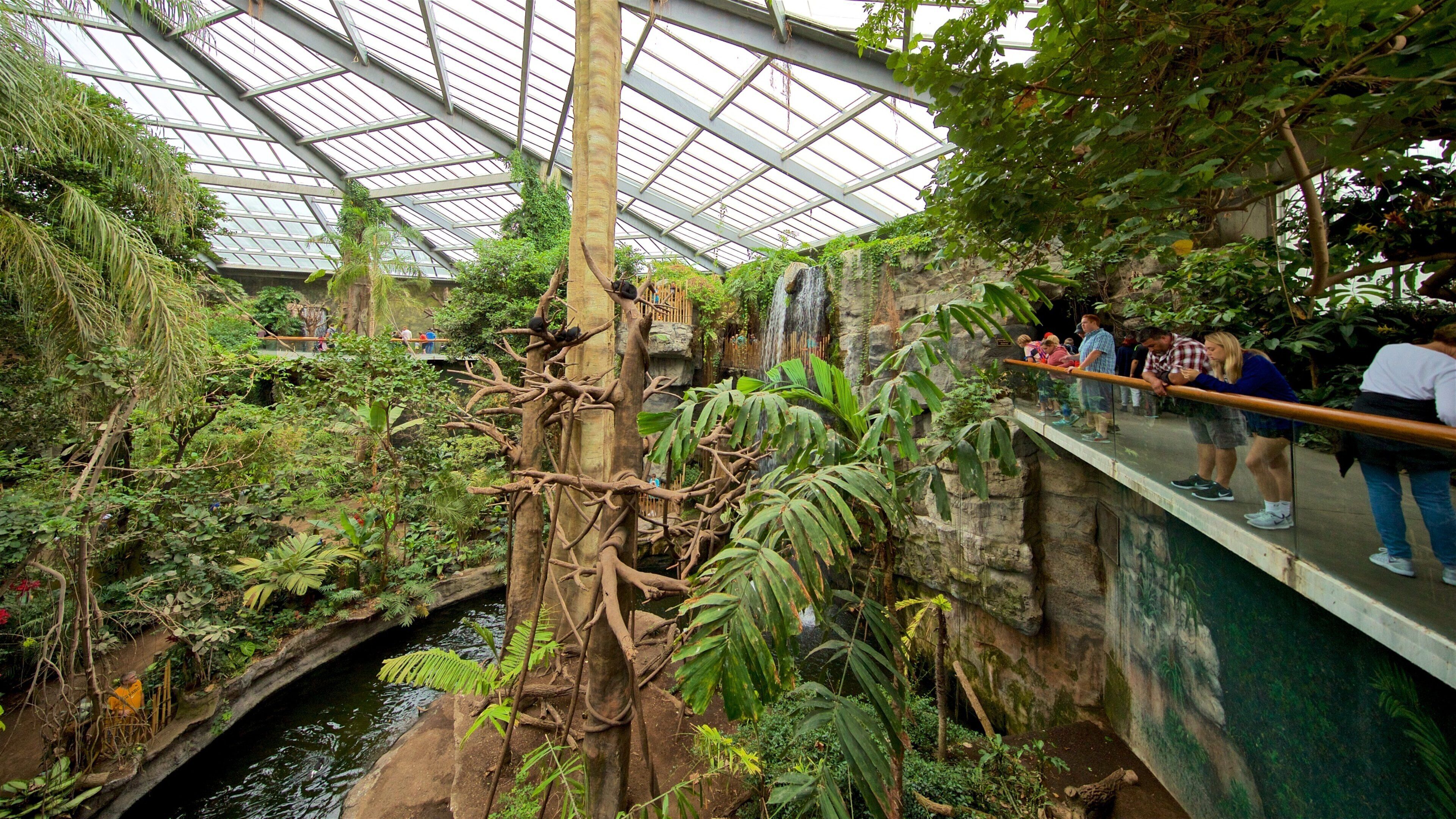 Henry Doorly Zoo mostrando vista interna e parco cosi come un piccolo gruppo di persone