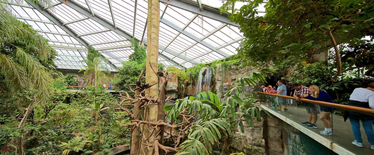 ヘンリー ドーリ動物園 どの含み 屋内の眺め と 公園 及び 少数の人々