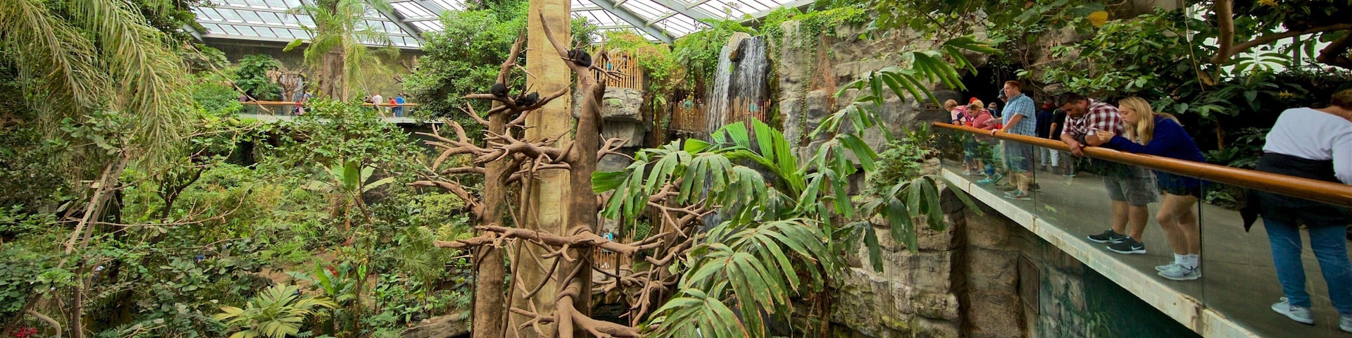 Henry Doorly Zoo ofreciendo vistas de interior y un parque y también un grupo pequeño de personas