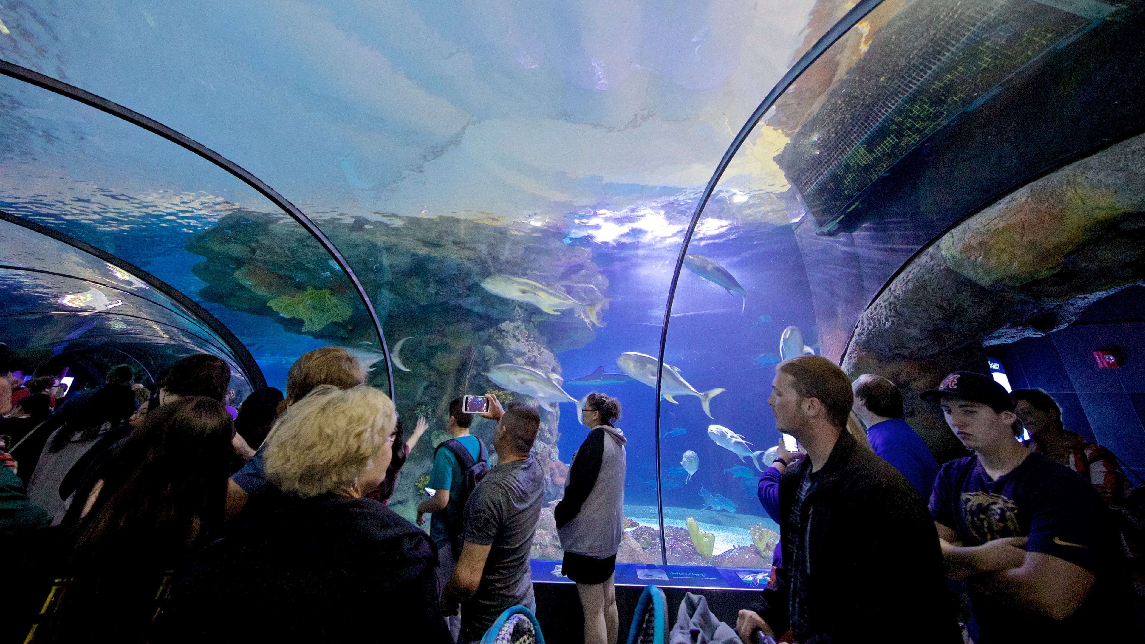 Henry Doorly Zoo caratteristiche di animali marini e vista interna cosi come un piccolo gruppo di persone