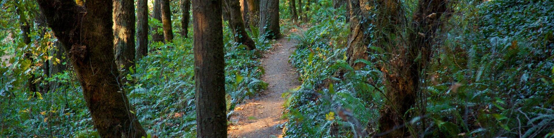 Hendricks Park mostrando selva