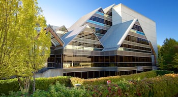 ศูนย์ศิลปะการแสดง Hult แสดง สถาปัตยกรรมสมัยใหม่ และ บ้าน