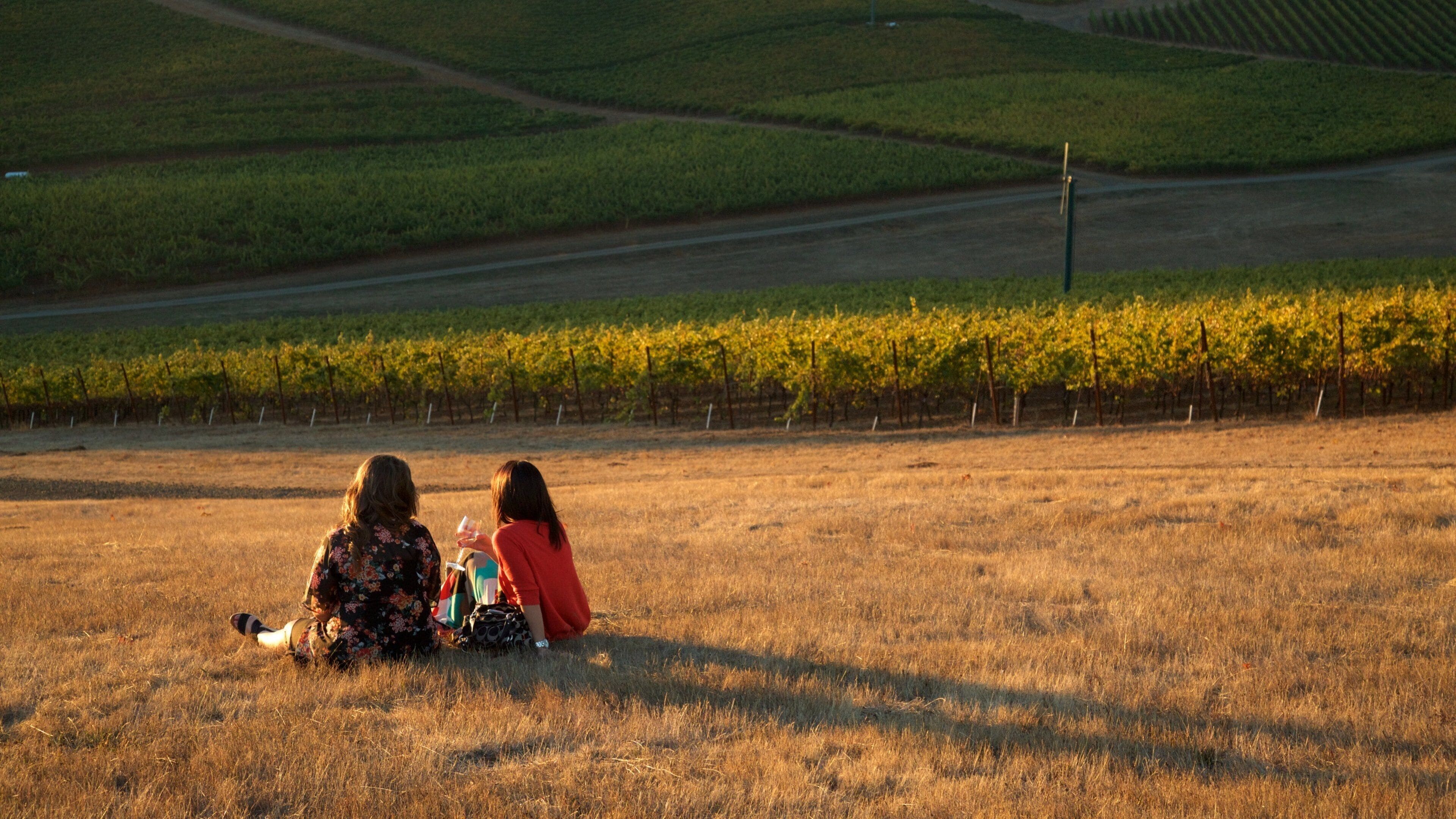 King Estate som inkluderer åkre i tillegg til en liten gruppe med mennesker