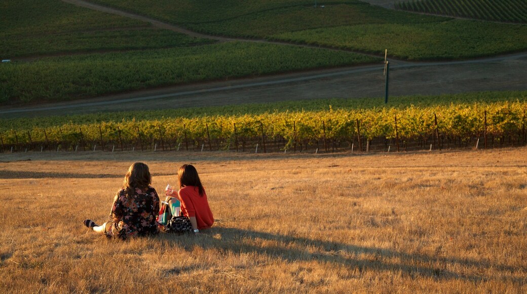 King Estate som inkluderer åkre i tillegg til en liten gruppe med mennesker