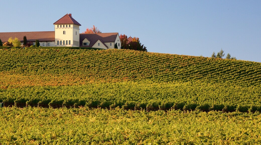 Landgoed King bevat akkerland, een huis en landschappen