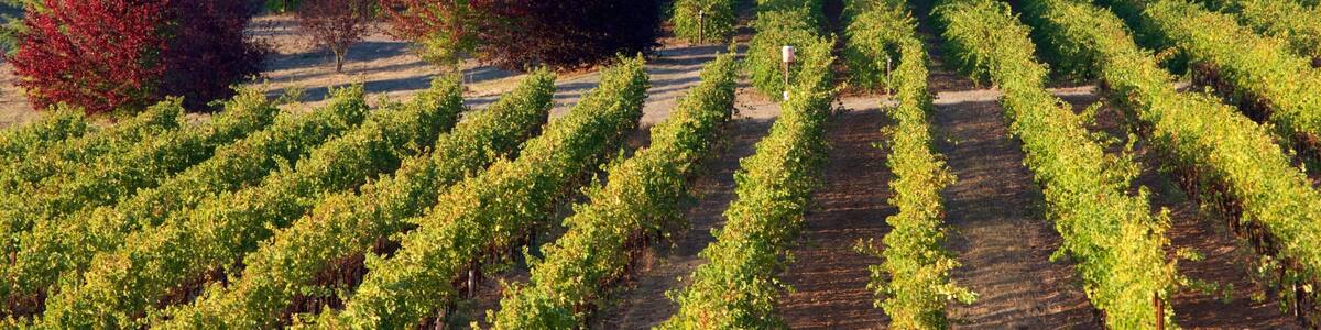 King Estate which includes farmland