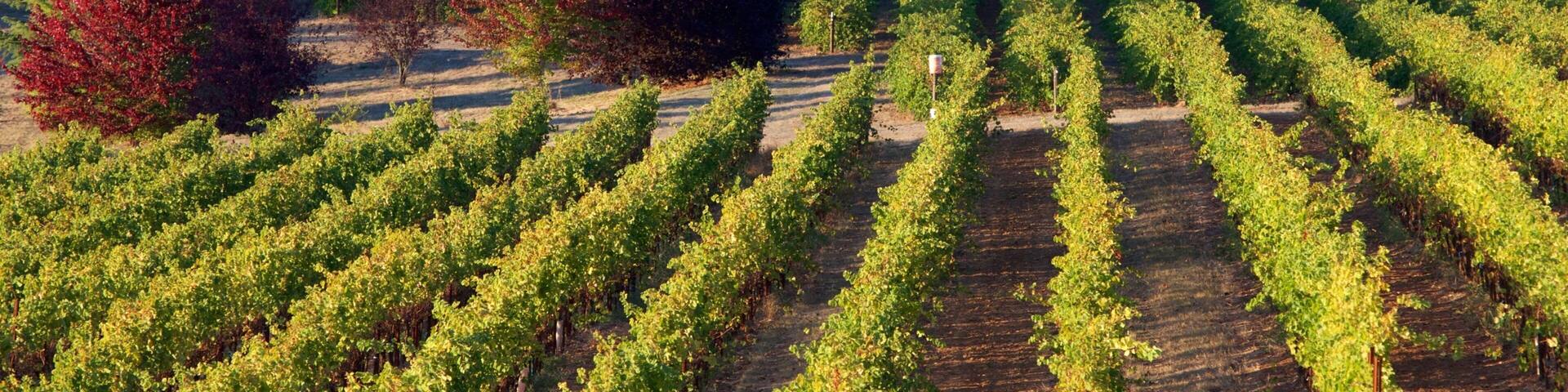 King Estate which includes farmland