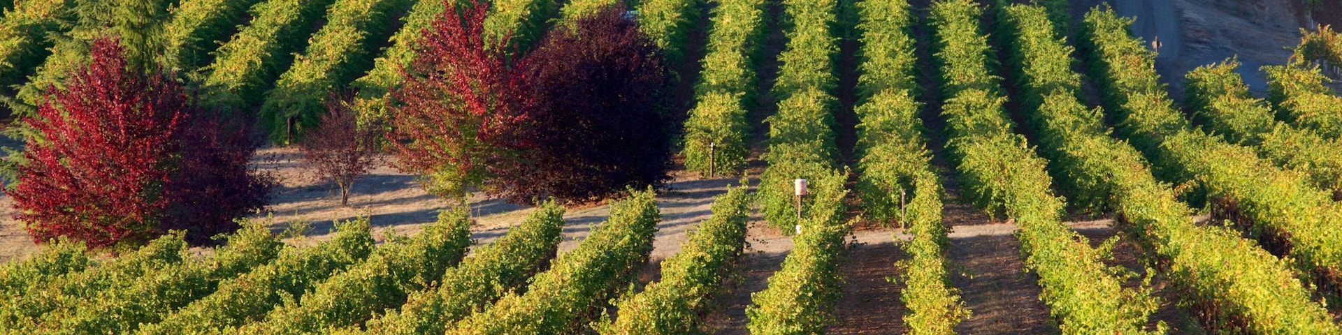 King Estate which includes farmland