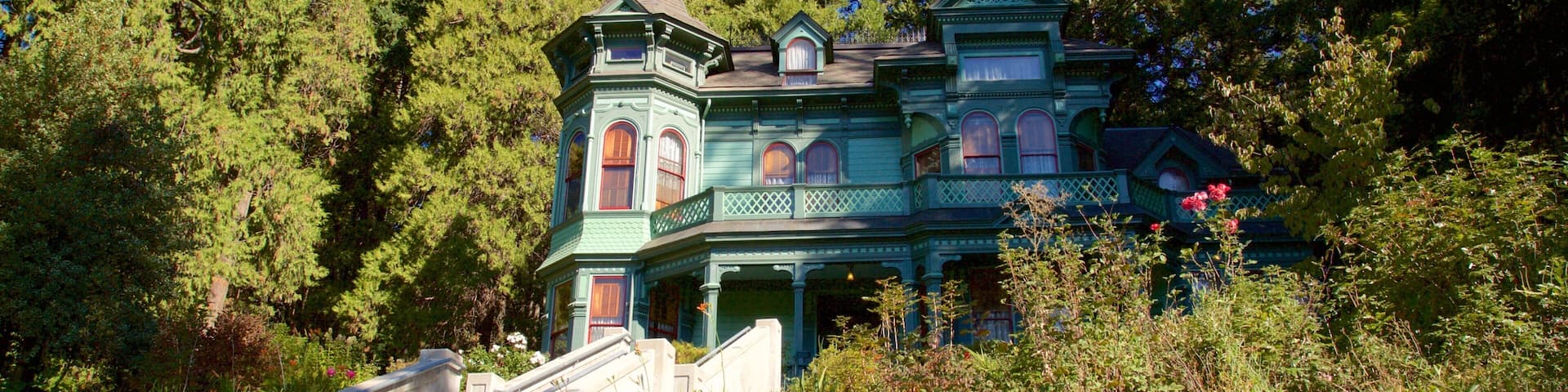 Shelton-McMurphey-Johnson House que incluye una casa