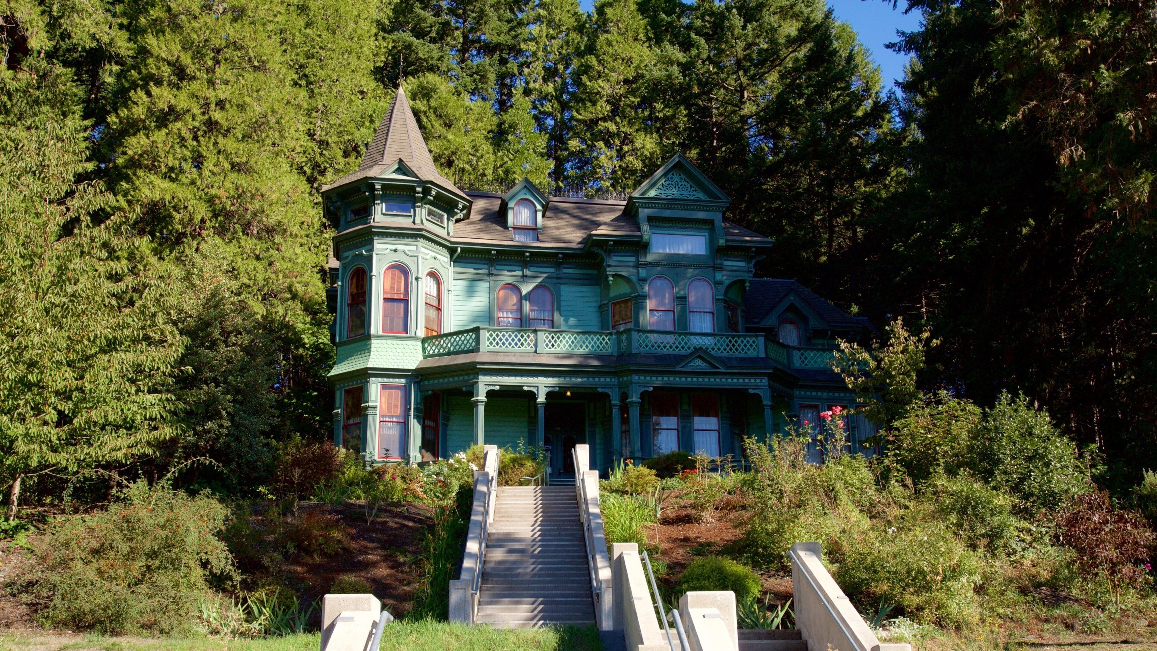 Shelton-McMurphey-Johnson House featuring a house