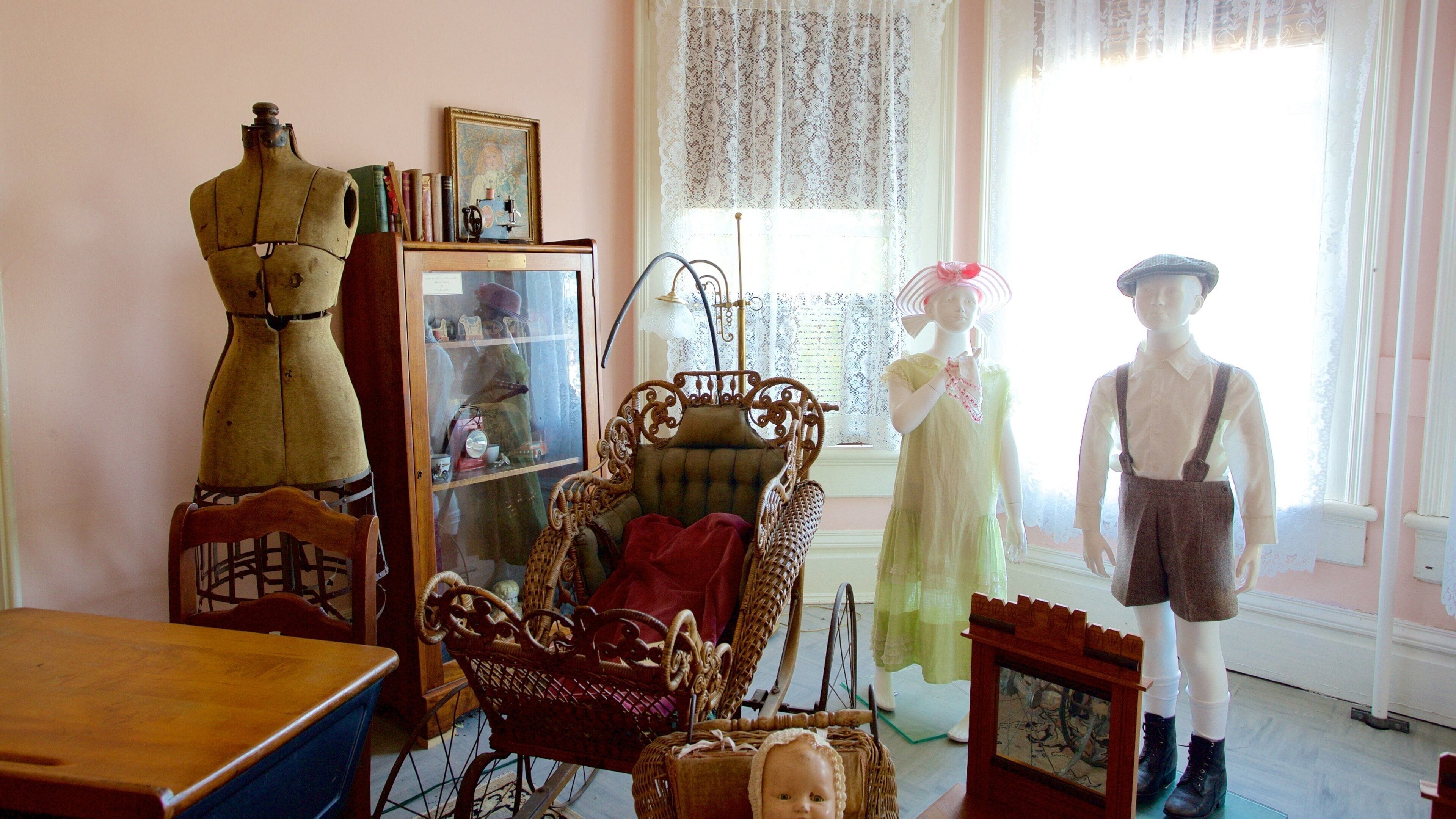 Shelton-McMurphey-Johnson House showing interior views, heritage elements and a house