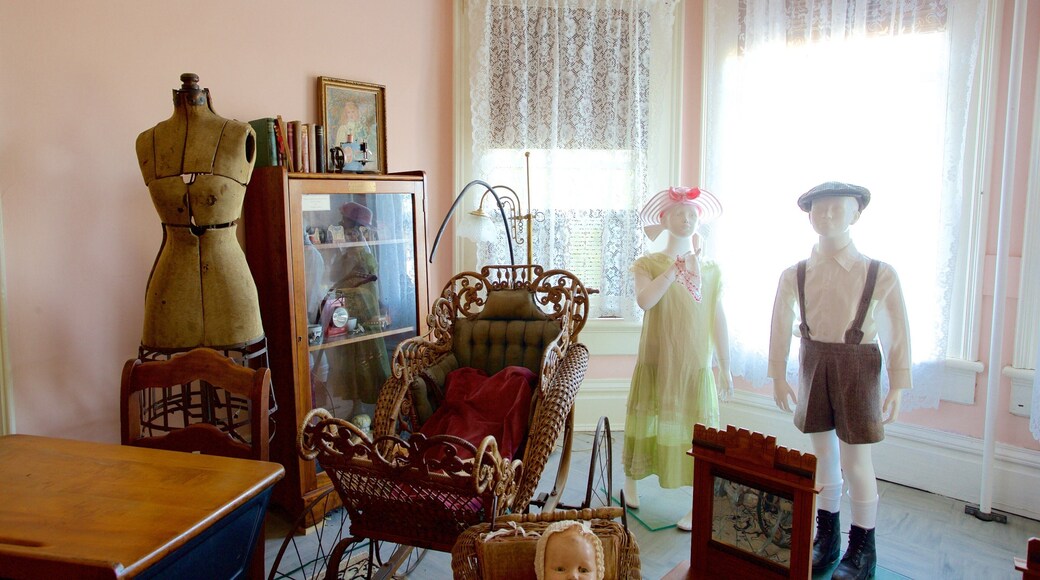 Shelton-McMurphey-Johnson House showing interior views, heritage elements and a house