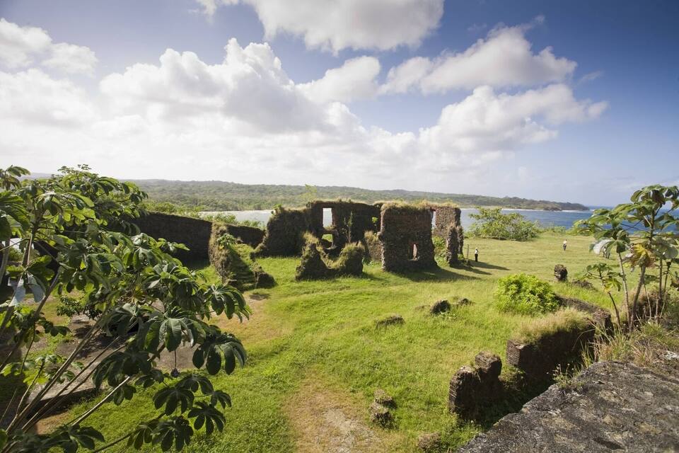 Ruinas costeras con vegetación exuberante y una vista despejada del mar.
