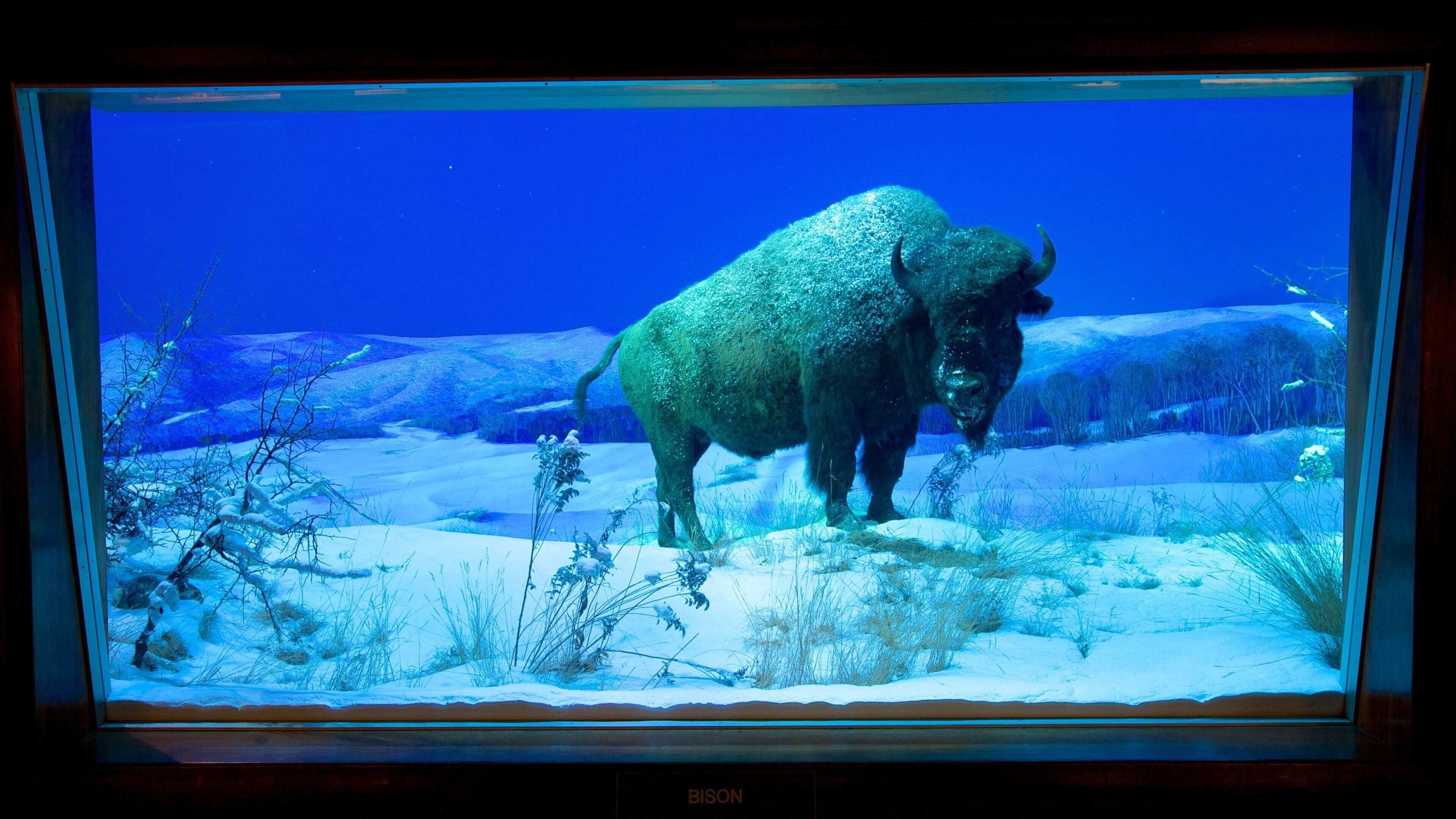 State Museum of Pennsylvania