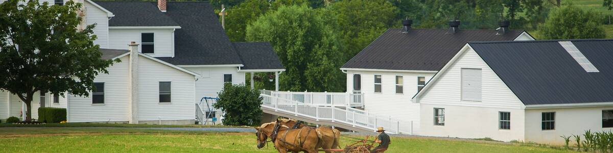 Lancaster, Pennsylvania - 6/28/2008: Horse drawn cultivator, amish farm near Lancaster, PA