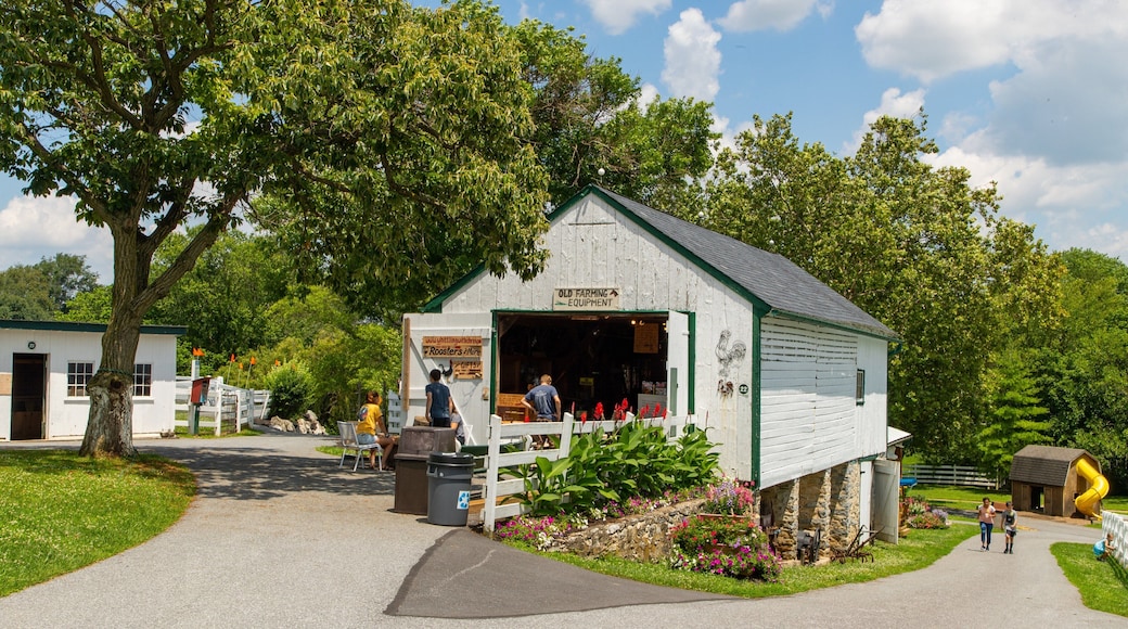 Amish Farm and House
