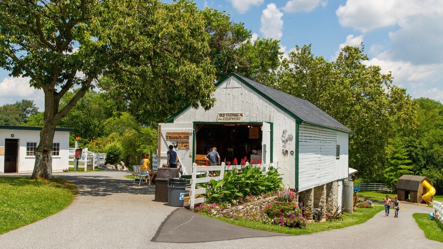 Amish Farm and House
