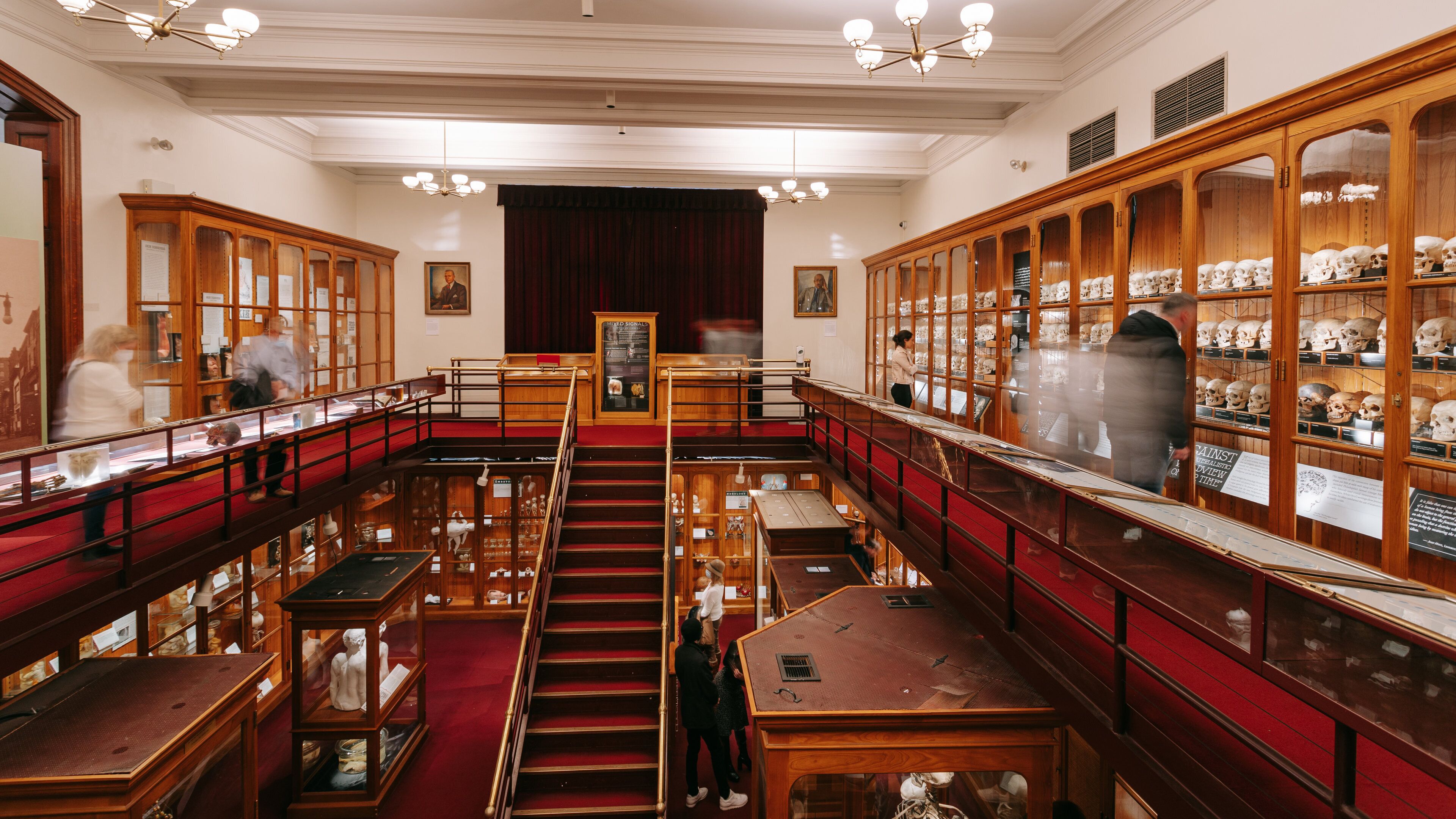 The Mütter Museum showing interior views