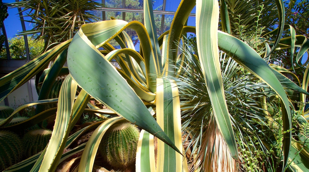핍스 온실 정원 을 보여주는 실내 전경 과 공원