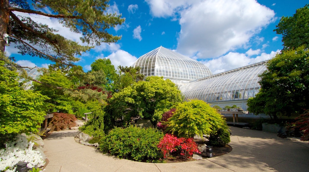 핍스 온실 정원 이 포함 꽃 과 공원