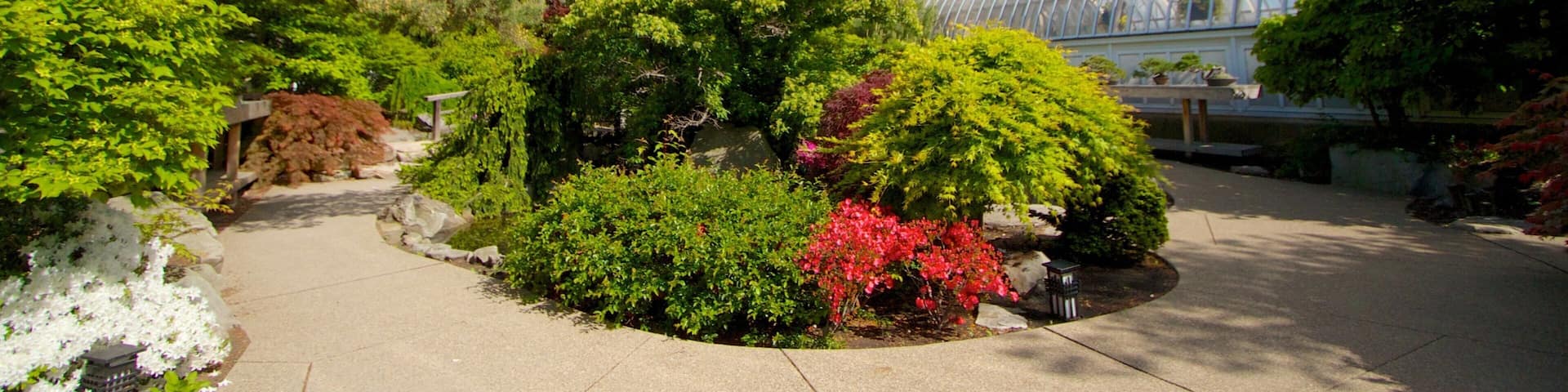 Phipps Conservatory showing a park and flowers