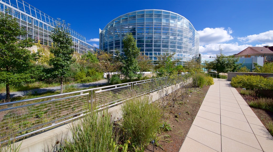 핍스 온실 정원 이 포함 정원