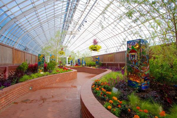 Phipps Conservatory showing a garden, interior views and flowers