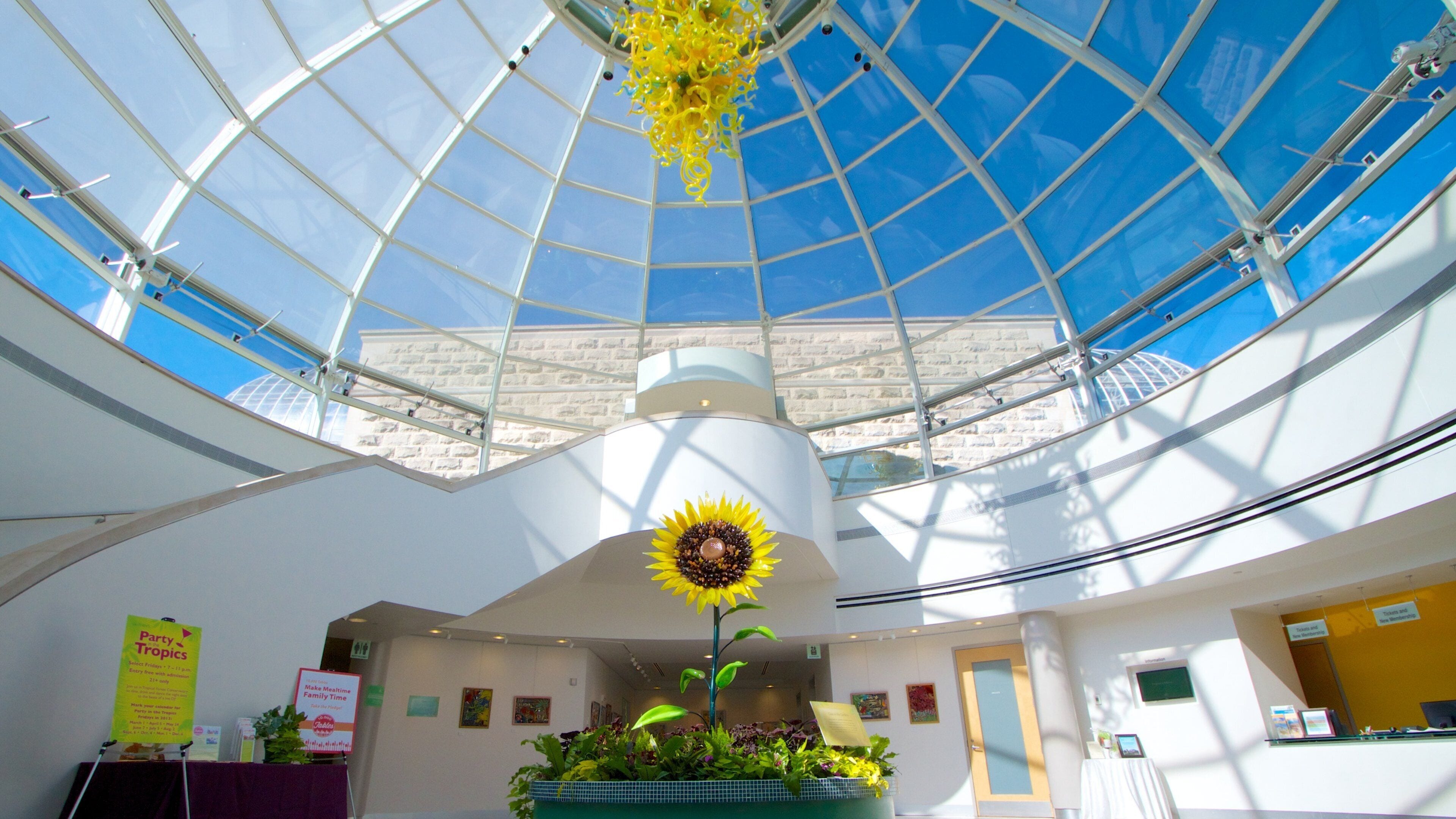 Phipps Conservatory que incluye arquitectura moderna, vistas interiores y flores