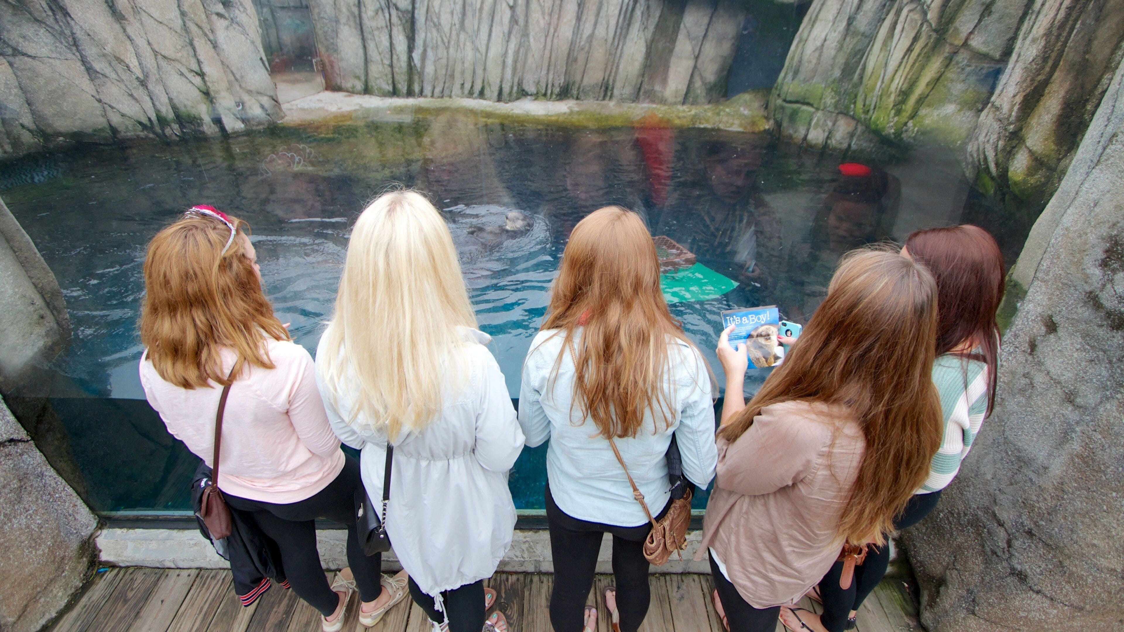 Pittsburgh Zoo and PPG Aquarium das einen Meeresbewohner und Zootiere sowie große Menschengruppe