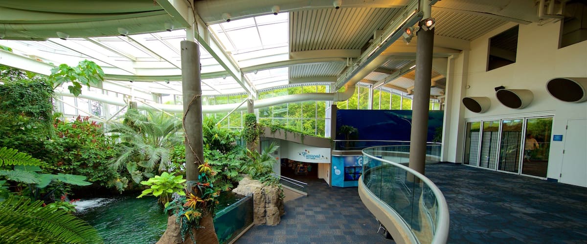 Pittsburgh Zoo and PPG Aquarium mostrando un parque y vistas interiores