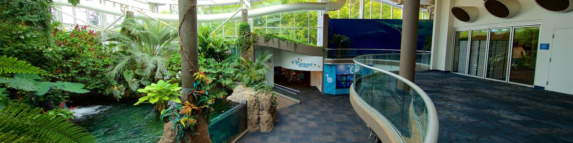 匹兹堡市动物园及其附属的PPG水族馆