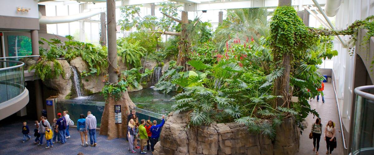 Pittsburgh Zoo and PPG Aquarium que incluye animales del zoológico y vistas interiores y también un gran grupo de personas