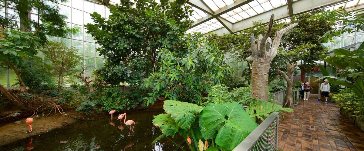 National Aviary which includes a garden, interior views and bird life