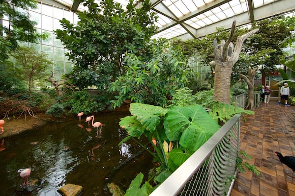 National Aviary montrant jardin, vie des oiseaux et vues intérieures