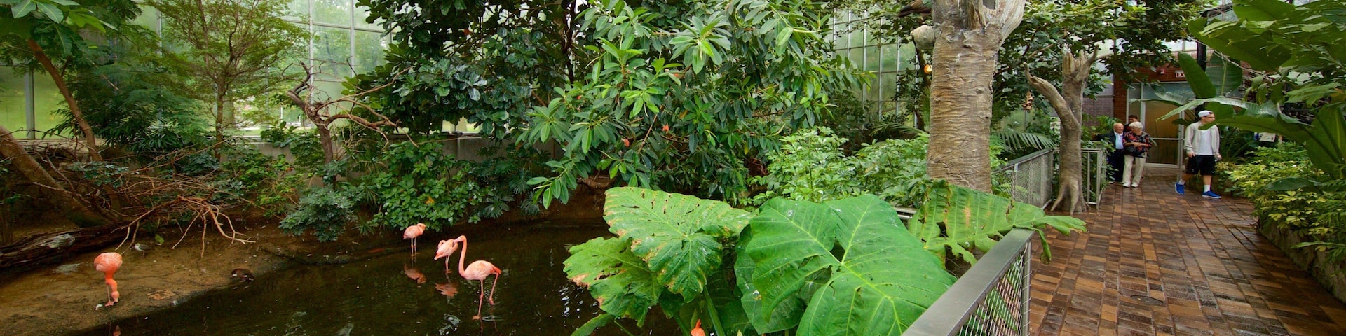 国家鸟类养殖场